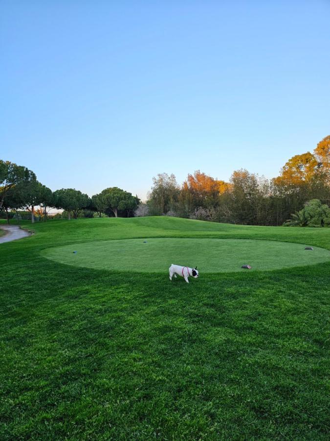 Citadela I, Golfe, Pool And Falesia Beach Vilamoura Ngoại thất bức ảnh